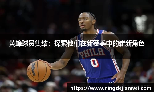 黄蜂球员集结：探索他们在新赛季中的崭新角色