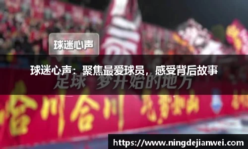 球迷心声：聚焦最爱球员，感受背后故事